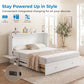 White Queen Murphy Bed Cabinet With USB Charging Module