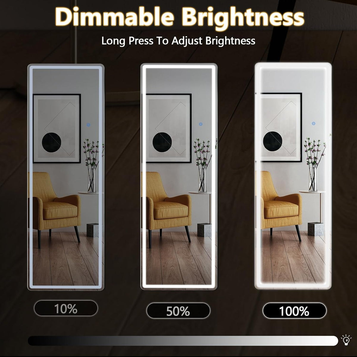 61Inch LED Full Length Mirror Contemporary Illumination