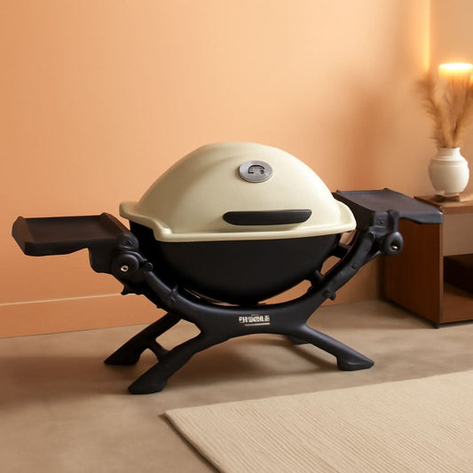 Weber Q1200 Portable Liquid Propane Grill Titanium