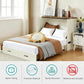 Queen Murphy Bed With Charging Station Rustic White