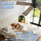 42Inch Smart Ceiling Fan With Integrated LED Lights
