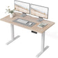 48x24 Inches Electric Height Adjustable Standing Desk