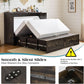 Queen Murphy Bed With Black Oak Finish And Storage-3
