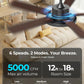Smart Reversible Dc Motor Led Ceiling Fan