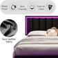 Floating Full Bed Frame with LED Lights and Head board, Black