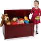 Espresso Contemporary Toys Chest Safety Hinged Lid