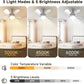 Ceiling Fan With Lights Remote Dimmable LED 3000K 6000K