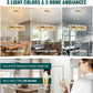 Crystal Chandelier Gold Rectangular Pendant Ceiling Light