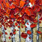 Red Birch Trees Wall Art 24x48 Inches Hand Painted Oil On Canvas
